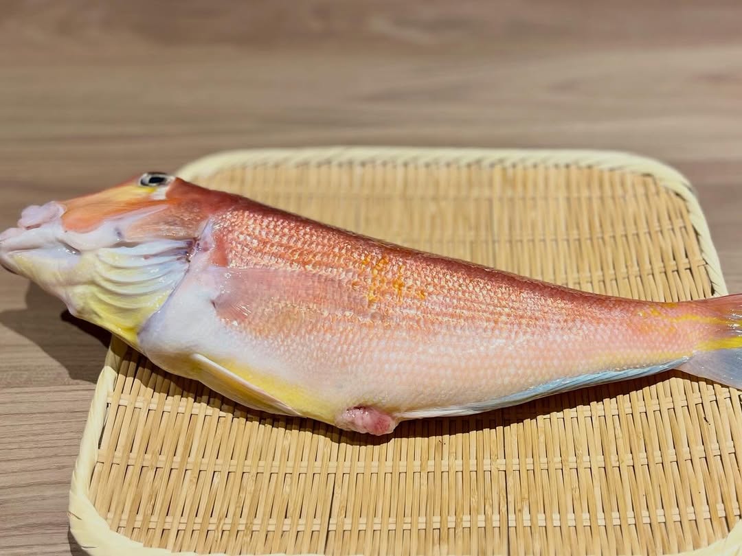 KAWATA hokkaido 料理